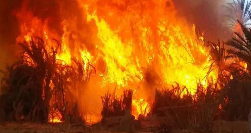 نزوح المئات من الموصل بسبب حرائق في مزارع للقمح والشعير
