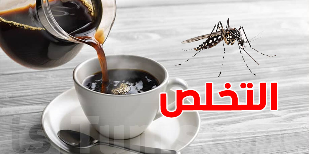 القهوة: ''astuce''هايلة باش تهربلك الناموس والنمل