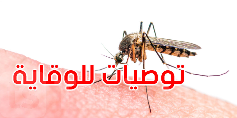 البعوض يهدد صحتك.. 5 خطوات بسيطة للوقاية من لسعاته