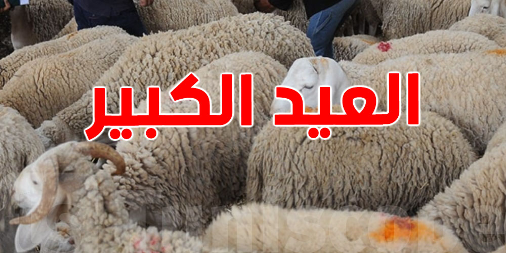 عاجل : دولة عربية تعلن رسميا عن موعد عيد الاضحى 