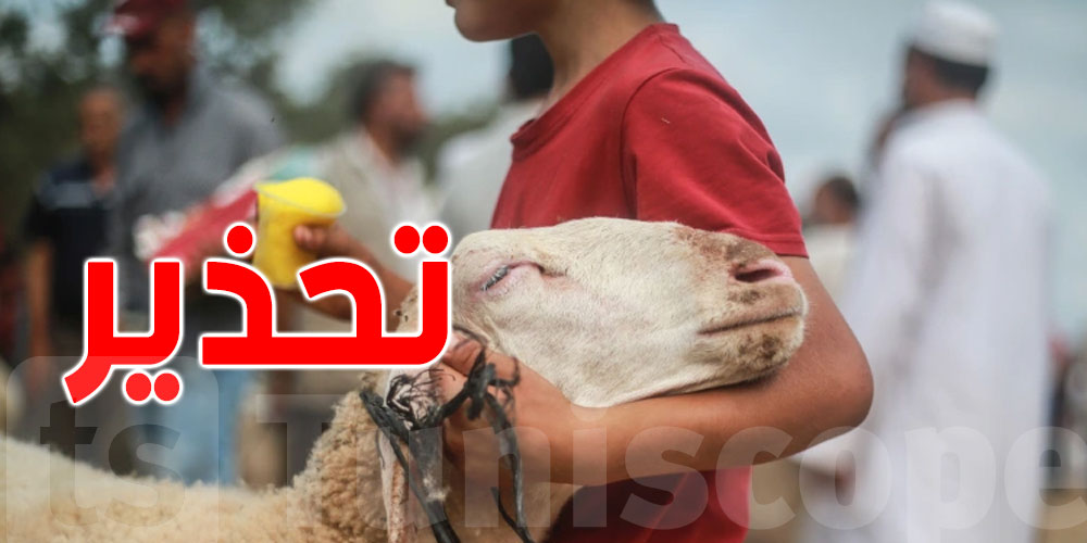 لا تُضحِّ بها! هذه العيوب تُبطل أضحيتك