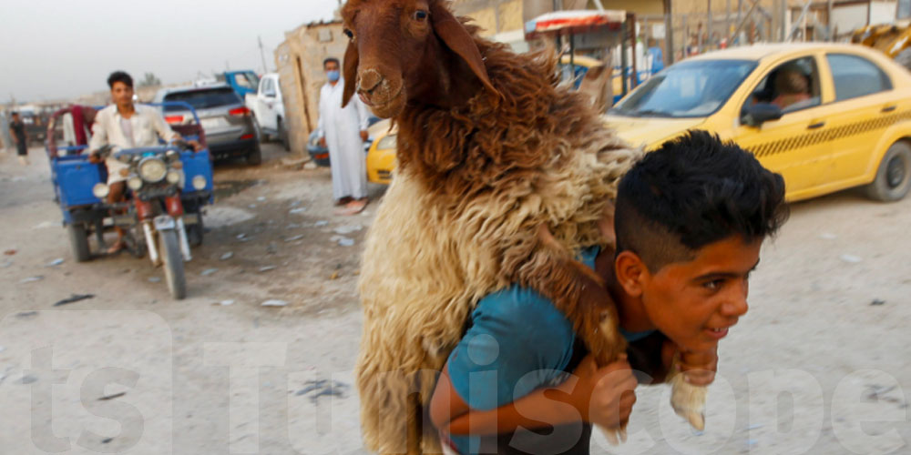 بلدية تونس تحذّر: هكّا لازمكم تتصرفوا في عيد الأضحى وإلا تتعرضوا للعقوبات!
