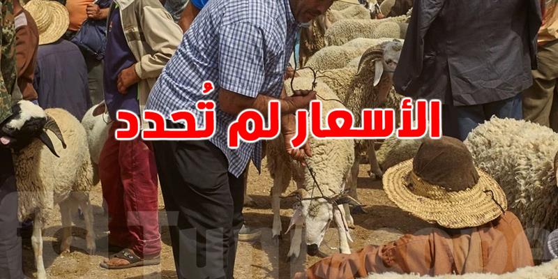 عيد الاضحى 2025: الأضاحي متوفرة للتونسيين والأسعار تُحدد قريبًا