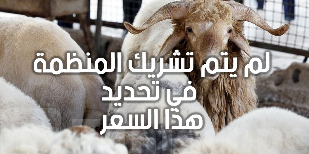 اتحاد الفلاحة : لم يتم الاتفاق على سعر بيع الكلغ للأضاحي ب900ر21 دينار ''حيّ''