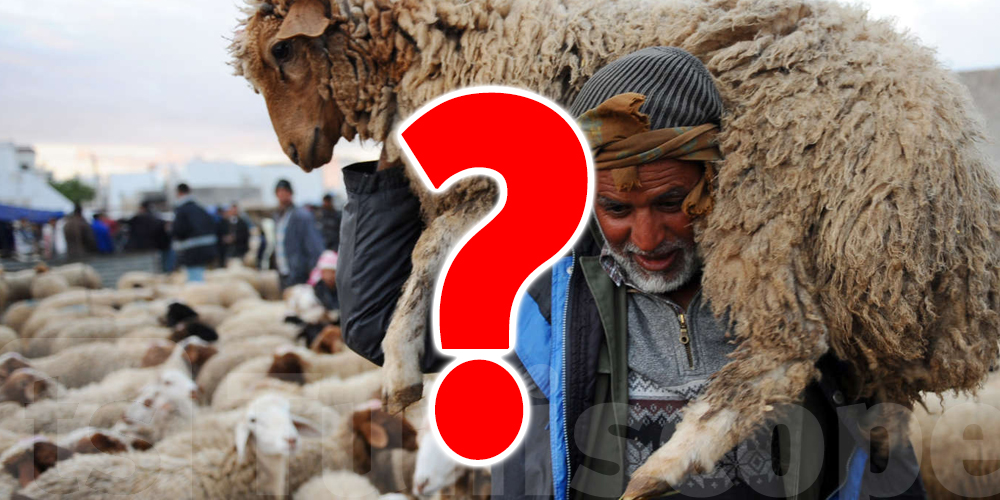 Aïd al-Adha : hausse des prix et appels au boycott