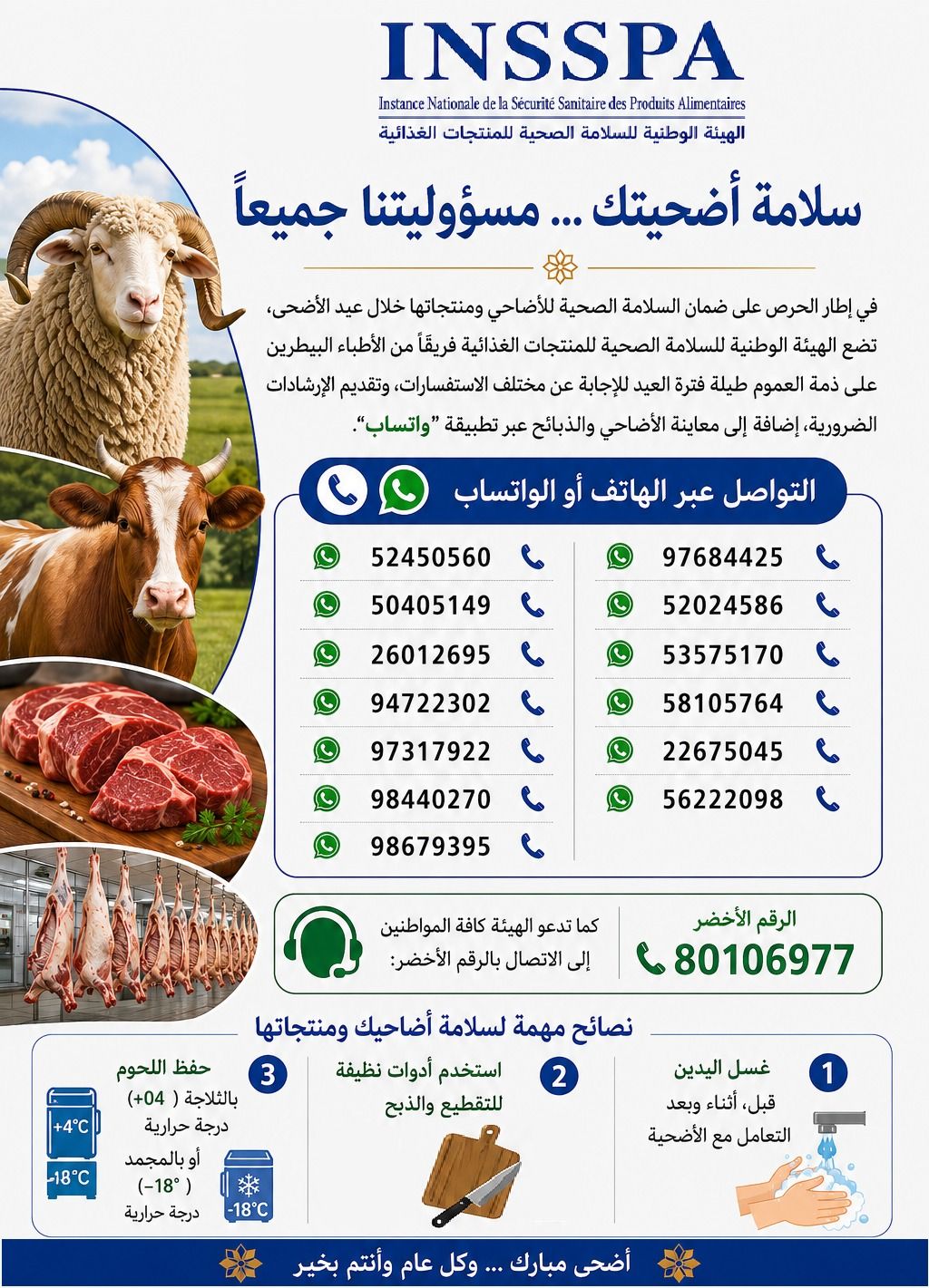 mouton1.jpg