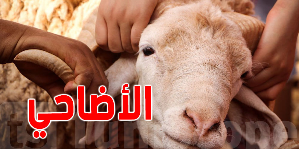 السن الواجب مراعاته في الأضحية