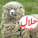 En France, les prix des moutons dépassent les 300 euros