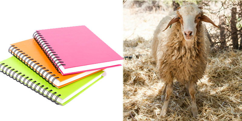 Des cahiers au lieu des moutons…