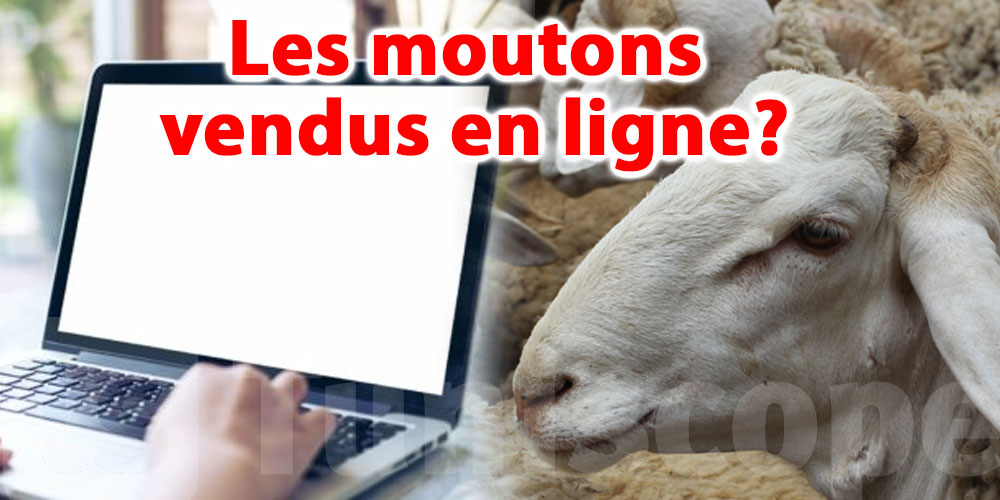 Les moutons vendus en ligne ?