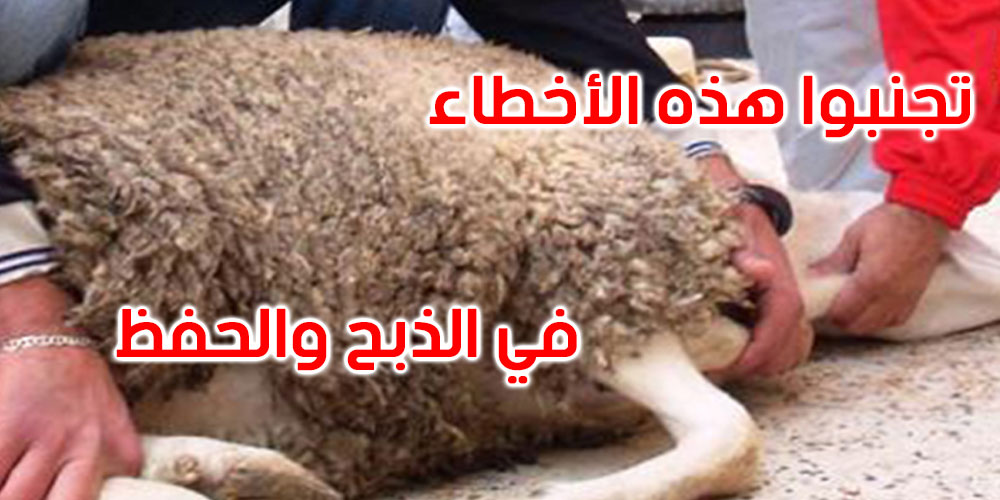 هذه القواعد الصحية لضمان سلامة الأضحية يوم العيد