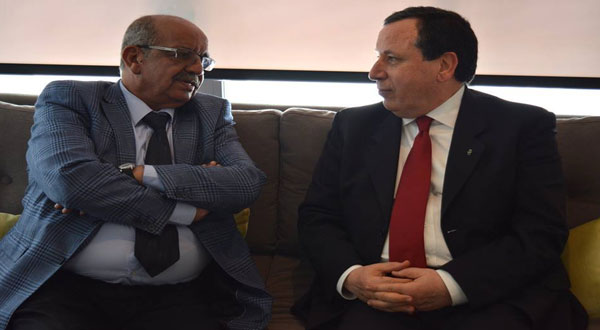 ماذا في لقاء الجهيناوي مع الوزير الجزائري عبد القادر مساهل ؟