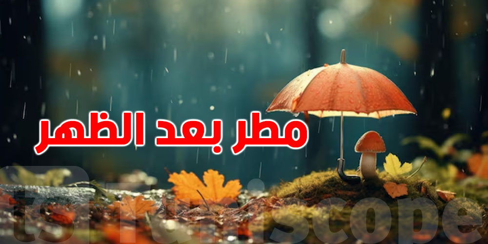 يا توانسة: الرعد والمطر راجعين بقوّة اليوم في البلايص هذه بعد الظهر!