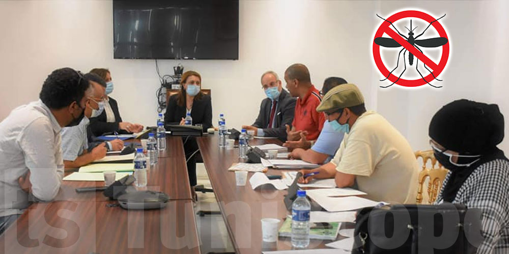 La municipalité de Tunis commence sa guerre contre les moustiques...en retard