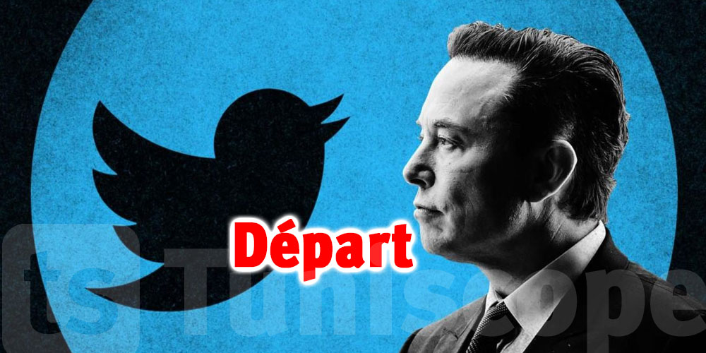 Les utilisateurs votent pour qu'Elon Musk quitte la direction de Twitter