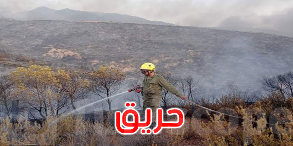 بني خيار: السيطرة على حريق أتى على هكتارين من غابة البندق