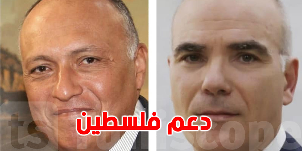 عاجل: وزير الخارجية يبحث مع نظيره المصري كيفية ايصال المساعدات الى فلسطين