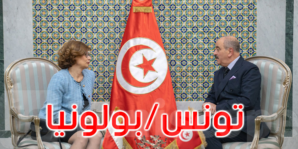 زيت الزيتون والسياحة في صدارة التعاون بين تونس وبولونيا