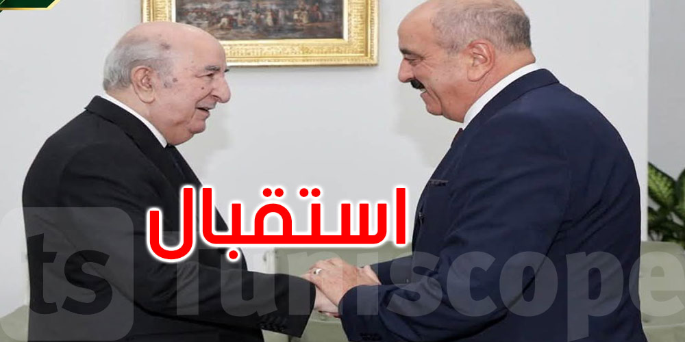 ماذا في استقبال الرئيس الجزائري لوزير الشؤون الخارجية؟