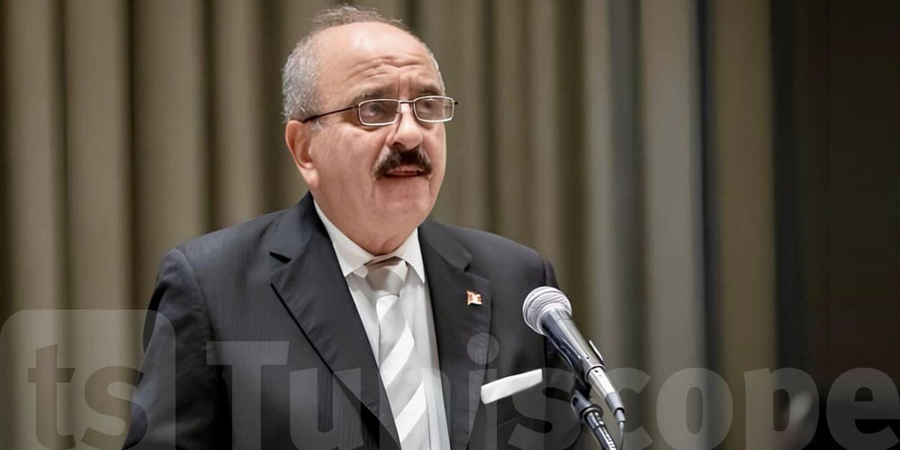 Mohamed Ali Nafti représente la Tunisie aux forums africains sur la paix et la justice