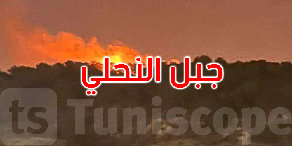 أريانة: السيطرة على حريقين بغابة جبل النحلي