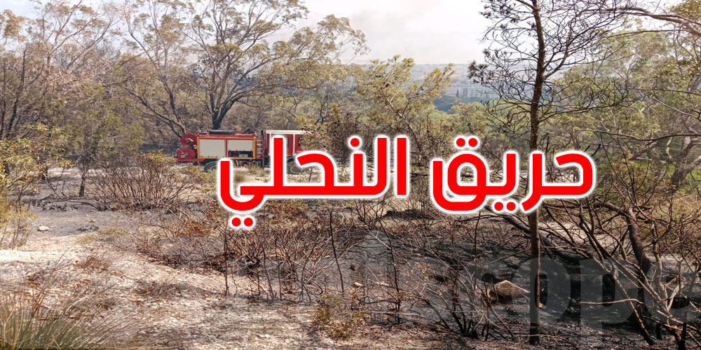 صور: السيطرة على حريق جبل النحلي