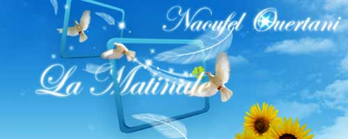 naoufelshems-080411-1.jpg