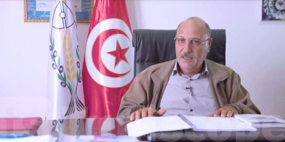 الجامعة الوطنية لمنتجي الزيتون تحذر من انهيار الاسعار و هذه رسالتها