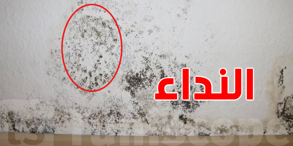 ''النداء''بعد المطر...كيفاش تتعامل معاه؟