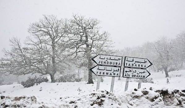 La neige fait son apparition ce matin à Jendouba !