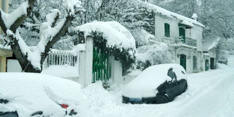 Evacuation de 116 véhicules bloqués sous la neige à Ain Draham