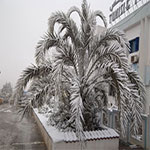 Météo: il a neigé sur plusieurs régions de Kasserine 