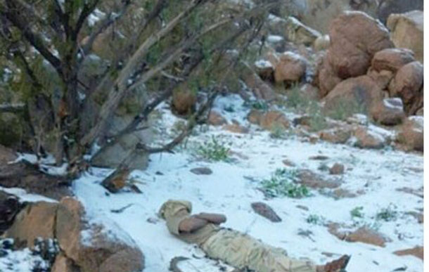De la neige sur le sommet de ‘Radhoua’ à Médine, après 24 ans d’absence