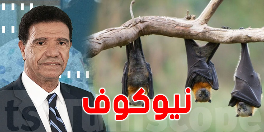 تصاب به الخفافيش، محجوب العوني يكشف تفاصيل عن المتحور الجديد ''نيوكوف''