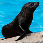 أغرب 10 أخبار في عام 2014