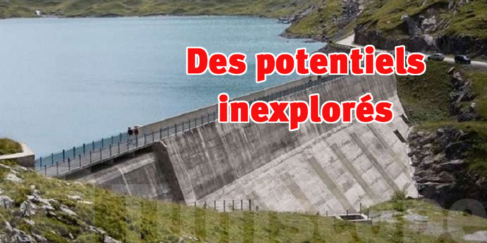 Le Nexus eau-énergie-alimentation : Des potentiels inexplorés pour la Tunisie