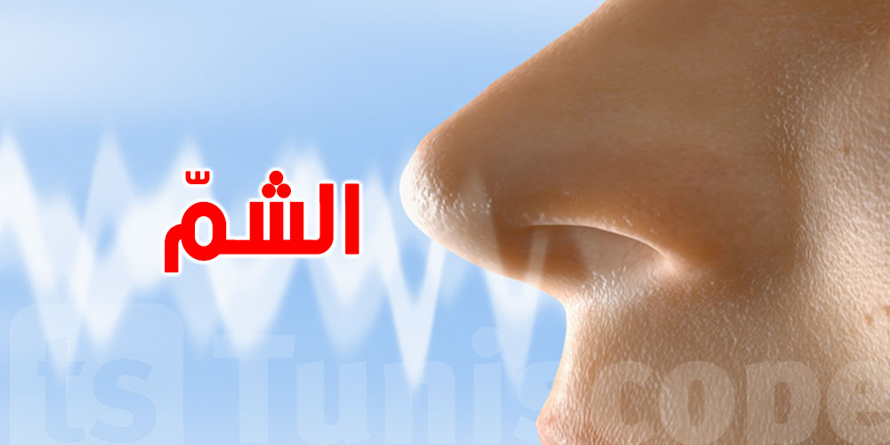 علميّا...علاش تولّي تشمّ ريحة الشربة من راس النهج وأنت صايم؟