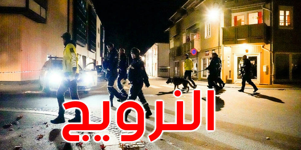 النرويج: مسلح يقتل عدة أشخاص بقوس نشاب