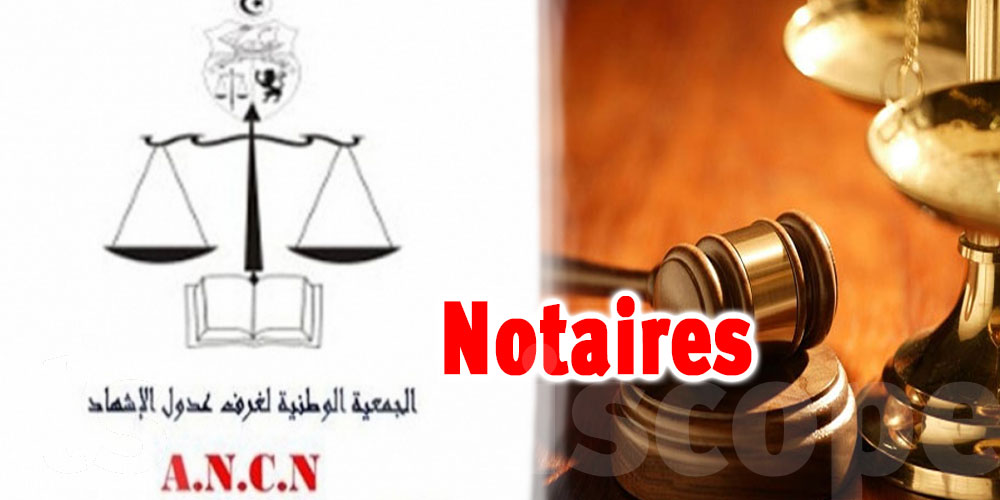 Notaires : ‘’Notre secteur est délaissé depuis des années’’