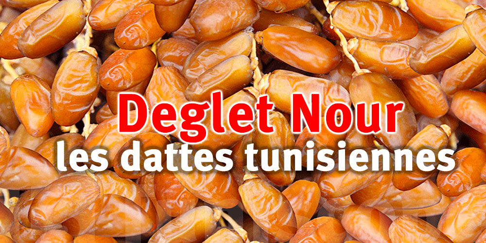 Deglet Nour tunisienne dans le top mondial : une fierté qui date de nos oasis
