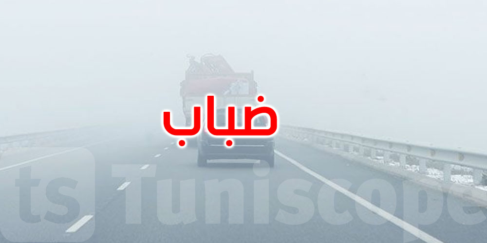 آخر الليلة وصباح الغد: ضباب كثيف وانخفاض مدى الرؤية إلى ما دون 500 متر