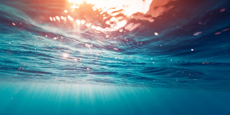 Les océans se réchauffent plus rapidement que prévu et leur écosystème se détériore 