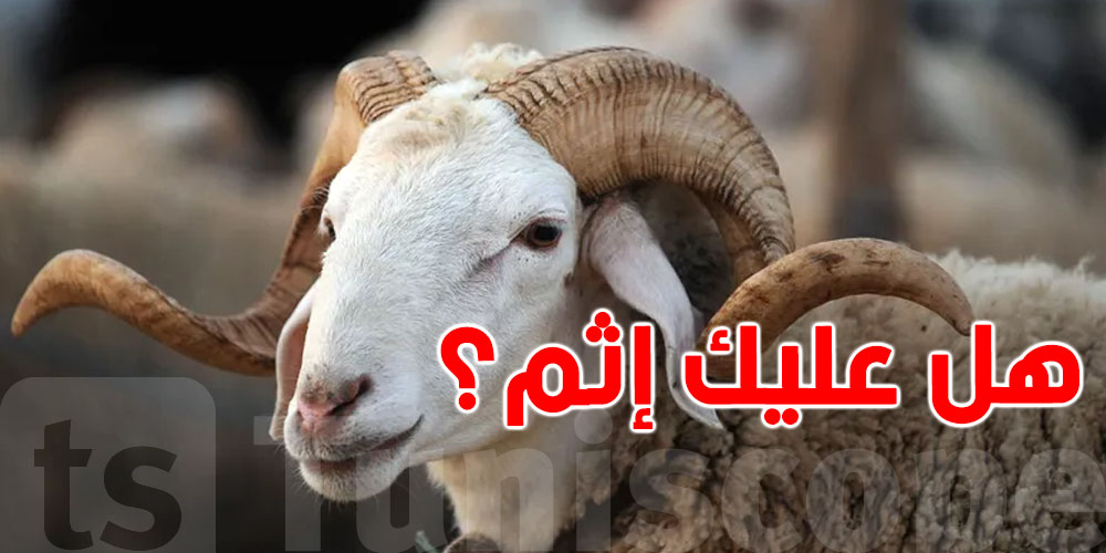 من لم يذبح أضحيته في العيد.. هل عليه إثم؟ إليك الحكم الشرعي