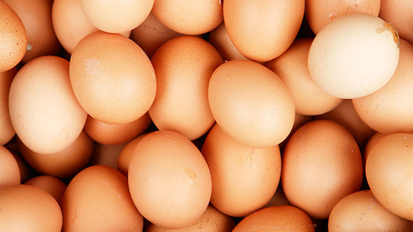 فضيحة البيض الملوث تطال 40 دولة