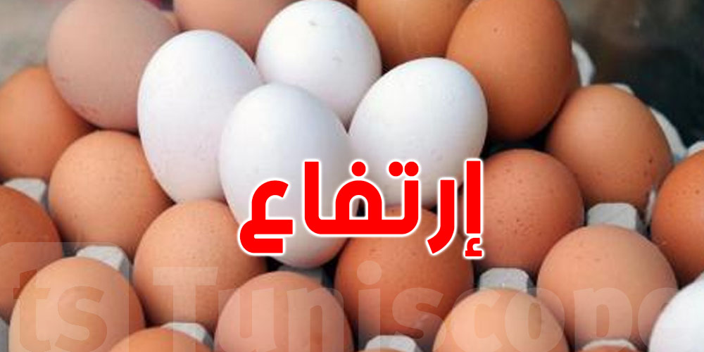 للتوانسة : مخزون استراتيجي للعضم في رمضان و هذه التفاصيل 