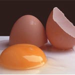 Le jaune d’œuf est aussi nocif que la cigarette et augmente les risques d’athérosclérose