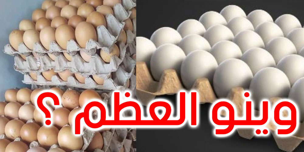 هل ستكون تونس بدون بيض؟ كل التفاصيل حول الأزمة 