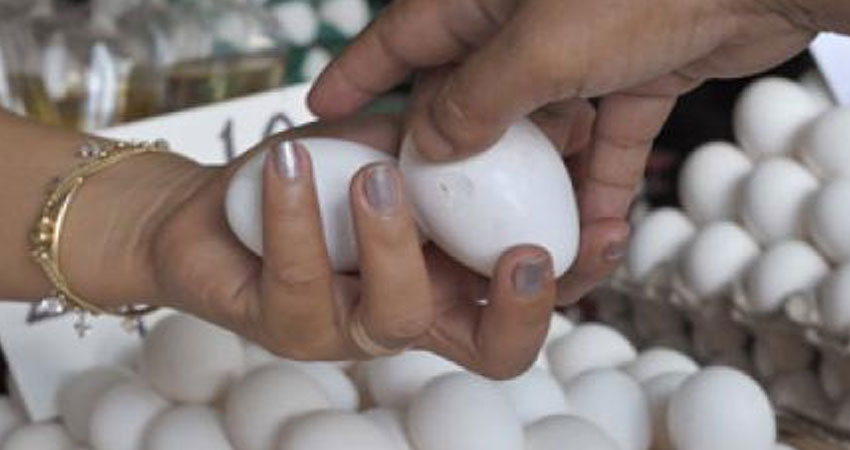 Eventuelle augmentation du prix des œufs, le ministère du Commerce explique 