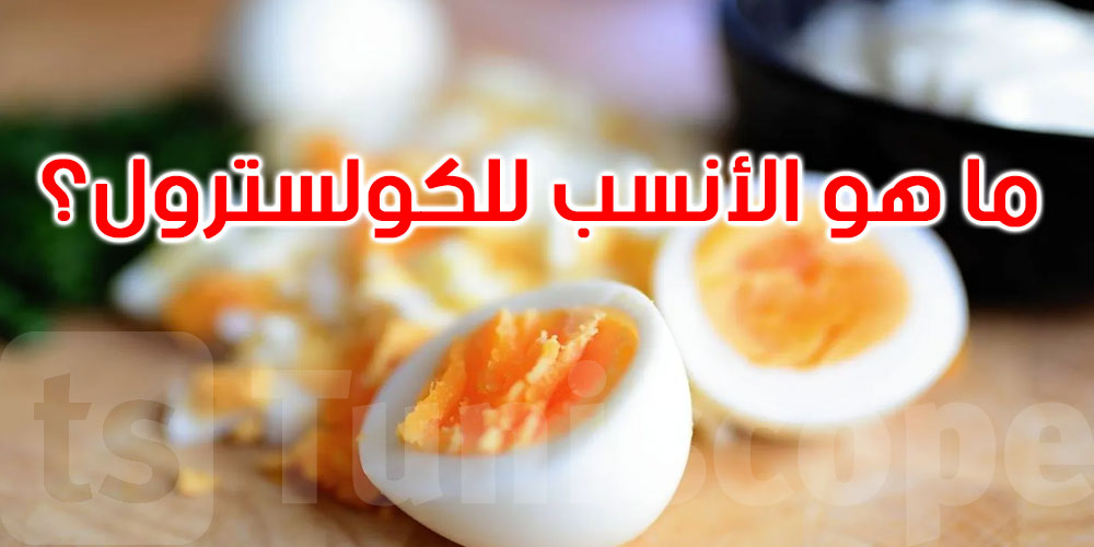 البيض تحت المجهر: أيهما أفضل للدهون والكولسترول... البياض أم البيضة الكاملة؟
