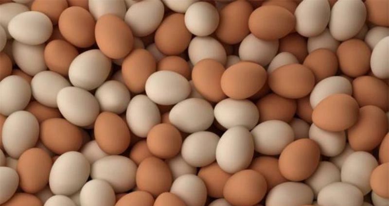 أريانة: حجز 13440 بيضة تروج بأسعار غير قانونية